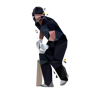 cricket-black-batsman-cms